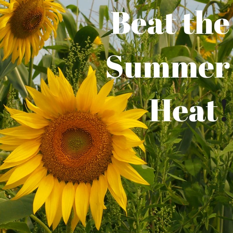 Beat theSummerHeat!