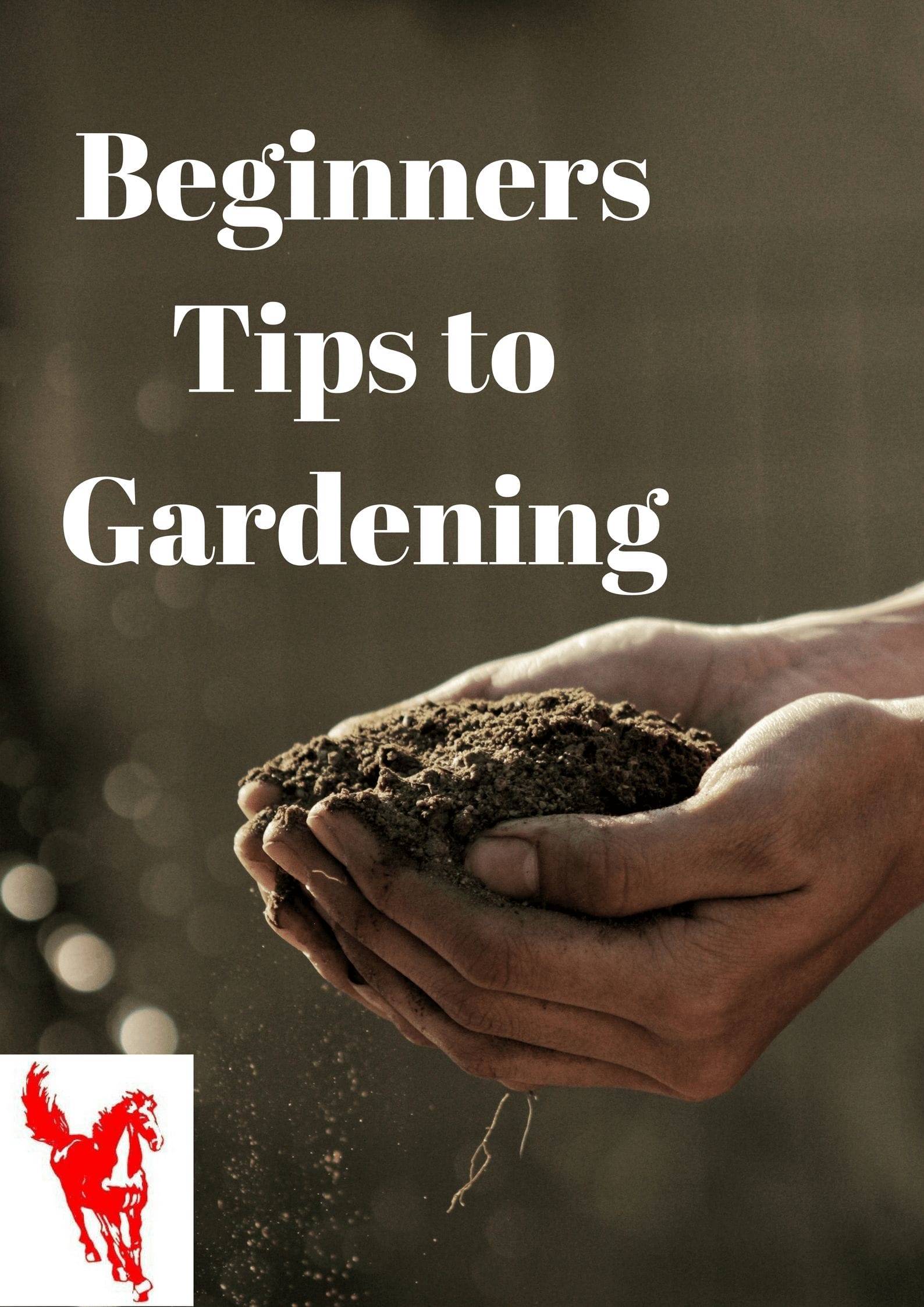 BEGINNERS GARDENING TIPS