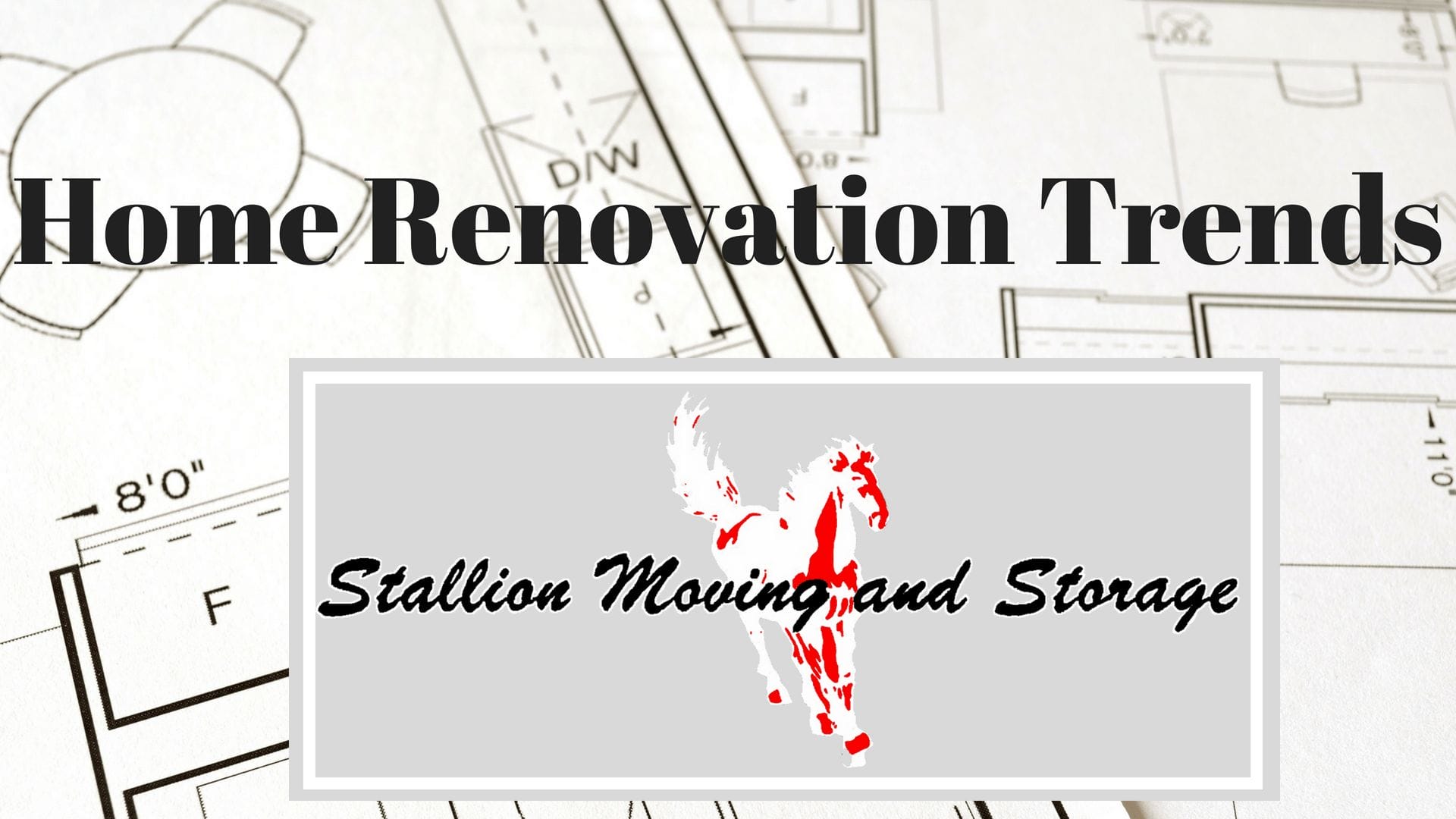 HOME RENOVATION TRENDS