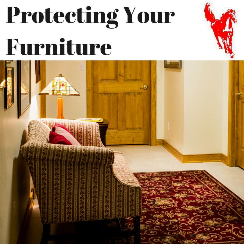 PROTECTING THE FURNITURE IN YOUR HOME