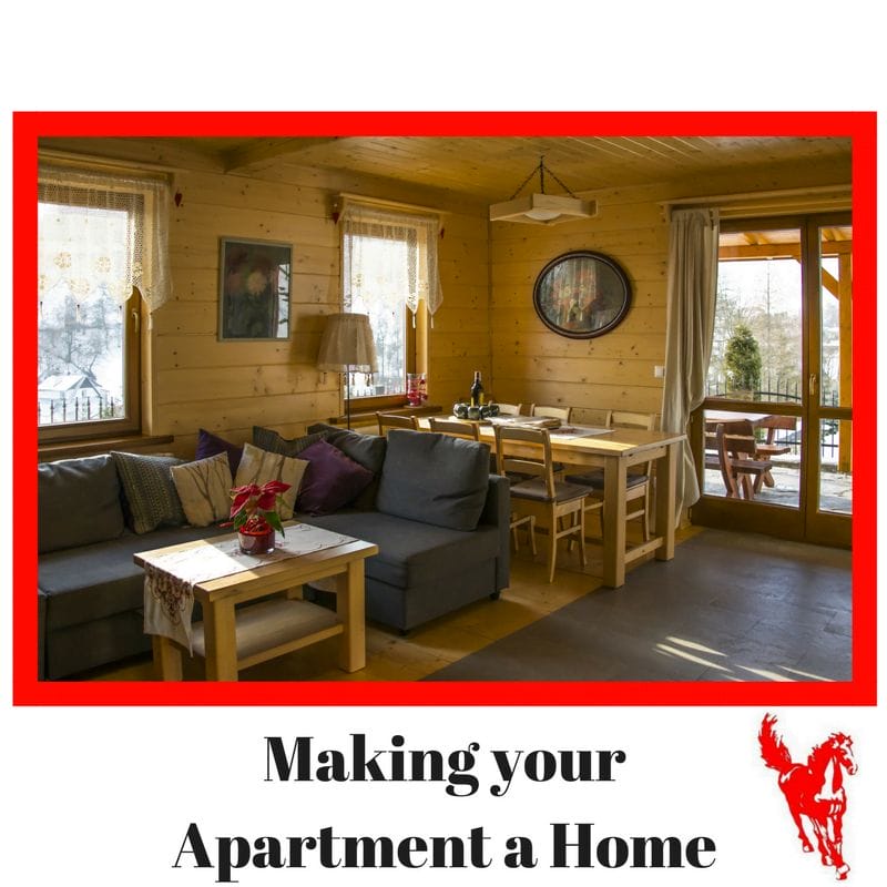 MAKE AN APARTMENT FEEL LIKE HOME