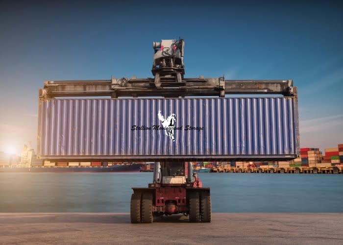 Overseas Moving Stallion Moving and Storage