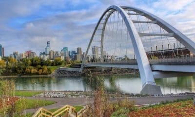 Moving Essentials in Edmonton Beyond the Basics
