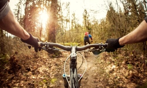 Mountain Biking River Valley Adventures in Edmonton
