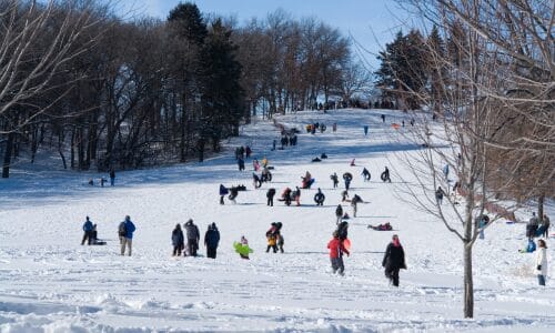 Outdoor Sledding in Edmonton